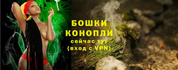 стаф Беломорск