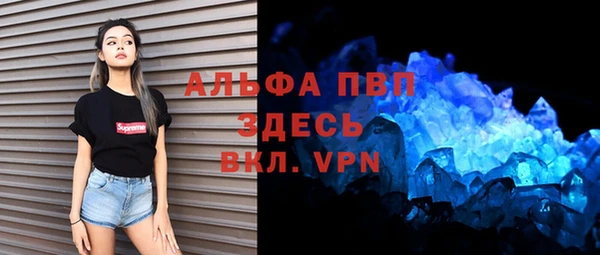 гашик Белокуриха