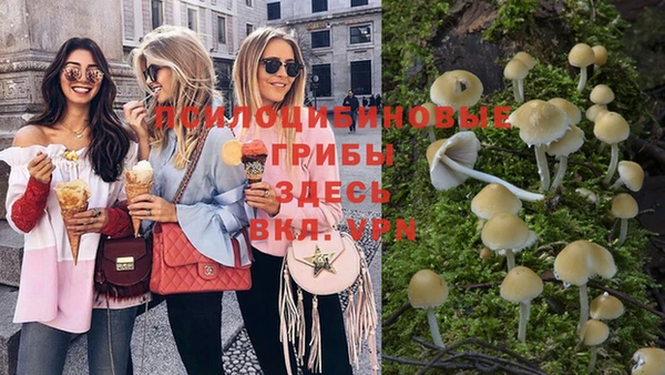 ГАЛЛЮЦИНОГЕННЫЕ ГРИБЫ Богданович